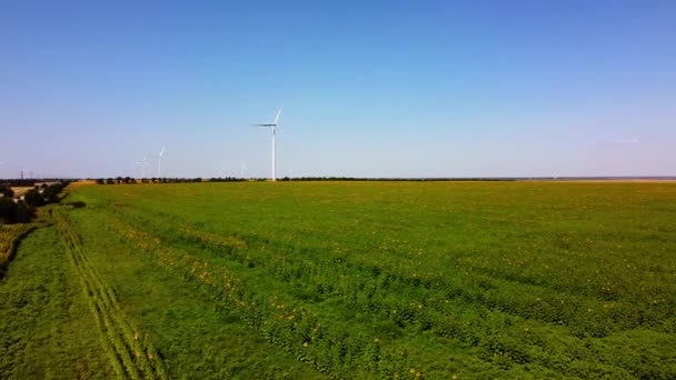 Luchtdrone Uitzicht Een Vliegende Windturbine Landbouwvelden Zonnebloemenveld Windmolen Windmolenpark — Stockvideo