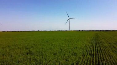 Rüzgar türbini ve tarımsal alanların üzerinde uçan bir dron görüntüsü. Ayçiçeği tarlası. Yel değirmeni. Rüzgar çiftliği.