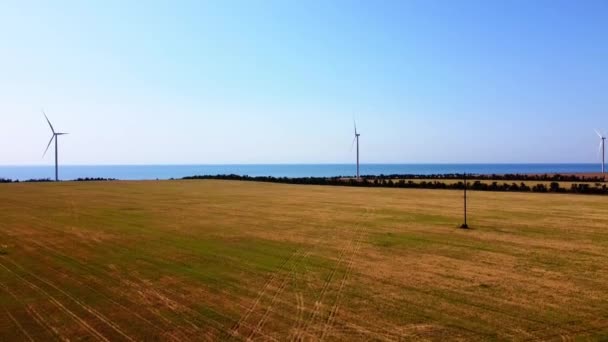 風力タービンと農業分野上の飛行の空中ドローンビュー 海の背景に風車 風車だ 風力発電所 — ストック動画
