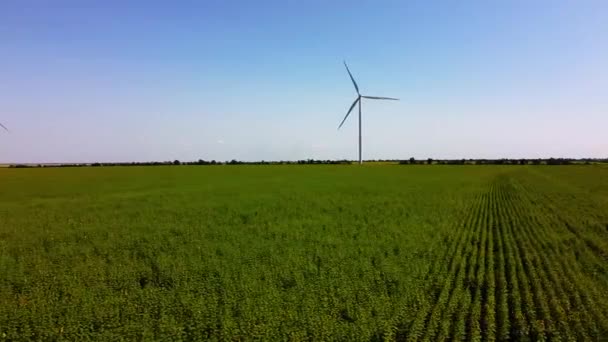 Luchtdrone Uitzicht Een Vliegende Windturbine Landbouwvelden Zonnebloemenveld Windmolen Windmolenpark — Stockvideo