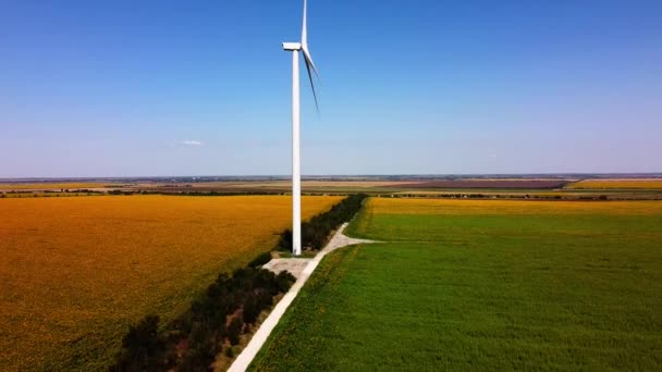 Rüzgar Türbini Tarımsal Alanların Üzerinde Uçan Bir Dron Görüntüsü Ayçiçeği — Stok video