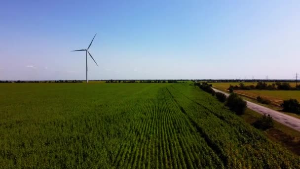 Rüzgar Türbini Tarımsal Alanların Üzerinde Uçan Bir Dron Görüntüsü Ayçiçeği — Stok video