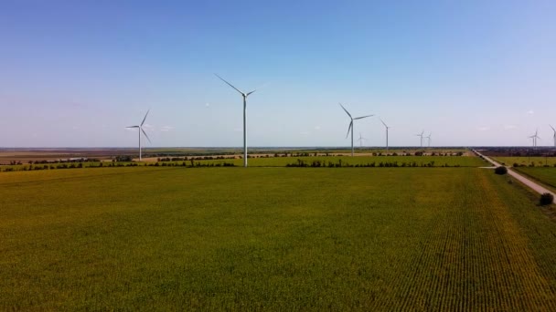 風力タービンと農業分野上の飛行の空中ドローンビュー ひまわり畑 風車だ 風力発電所 — ストック動画