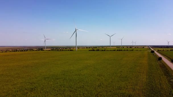 風力タービンと農業分野上の飛行の空中ドローンビュー ひまわり畑 風車だ 風力発電所 — ストック動画