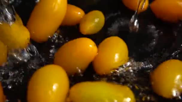 Tomat Cherry Kuning Jatuh Dalam Air Mencuci Tomat Dengan Latar — Stok Video