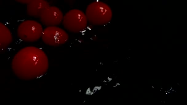 Rote Kirschtomaten Ins Wasser Fallen Lassen Tomaten Waschen Auf Schwarzem — Stockvideo