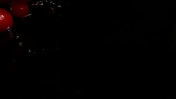 Падіння Червоних Вишневих Помідорів Воду Миття Помідорів Чорному Тлі Повільний — стокове відео