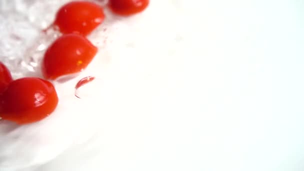 Caída Tomate Rojo Cereza Agua Lavando Tomates Sobre Fondo Blanco — Vídeos de Stock