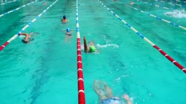 Yüzme havuzu eğitimi. Sporcular yüzme tekniği çalışırlar..
