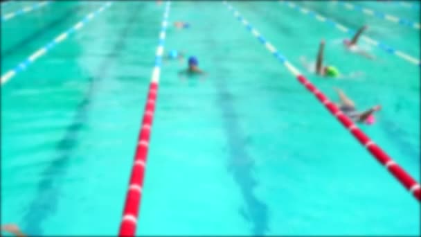 Тренування Басейну Спортсмени Практикують Техніку Плавання Межами Фокусу — стокове відео