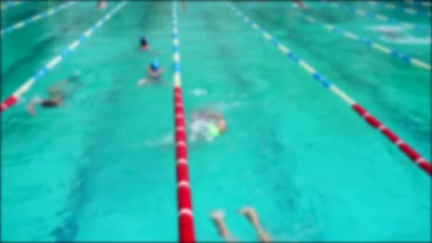 Обучение Плавательному Бассейну Спортсмены Практикуют Технику Плавания Фокусе — стоковое видео