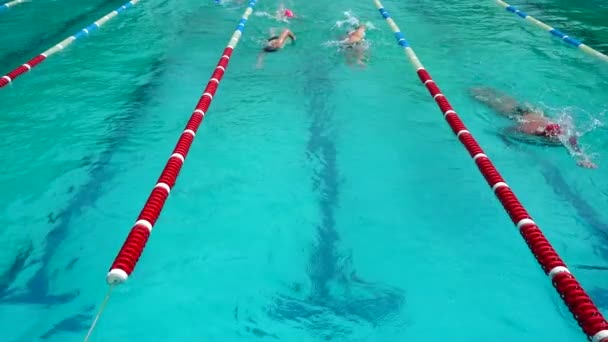 Trénink Bazénu Sportovci Cvičí Plavání Zpomalený Pohyb — Stock video