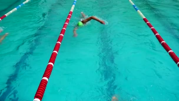 Entrenamiento Piscina Los Atletas Practican Técnica Natación Movimiento Lento — Vídeos de Stock