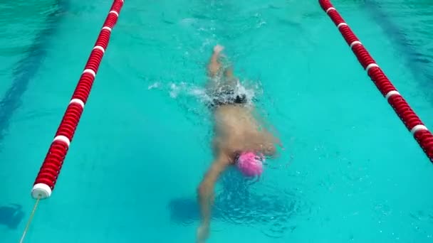 Εκπαίδευση Πισίνας Αθλητές Εξασκούνται Στην Τεχνική Κολύμβησης Αργή Κίνηση — Αρχείο Βίντεο
