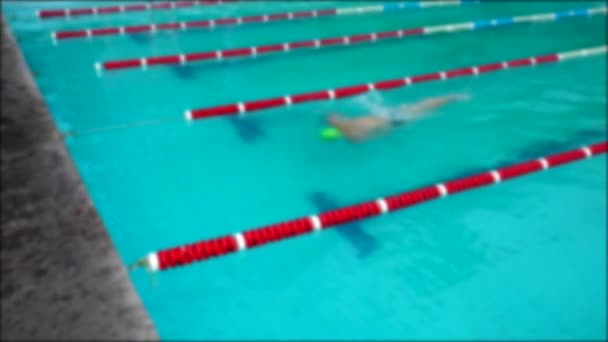 Trénink Bazénu Sportovci Cvičí Plavání Rozostřeno — Stock video