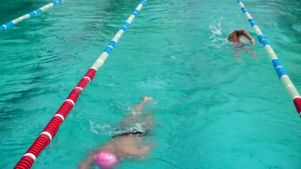 Treino Piscina Atletas Praticam Natação Técnica Movimento Lento — Vídeo de Stock