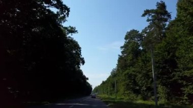 Arabanın camından ormanı vuruyor..