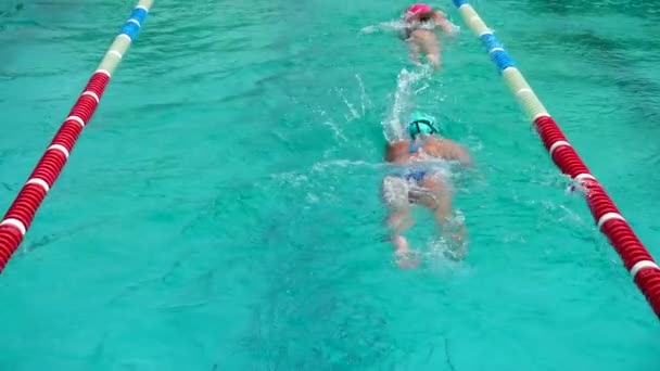 Обучение Плавательному Бассейну Спортсмены Практикуют Технику Плавания Медленное Движение — стоковое видео