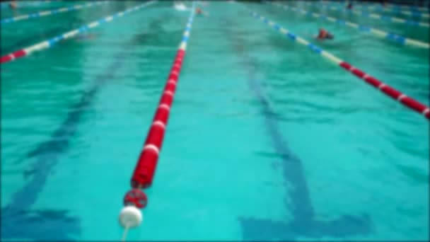 Обучение Плавательному Бассейну Спортсмены Практикуют Технику Плавания Фокусе Медленное Движение — стоковое видео