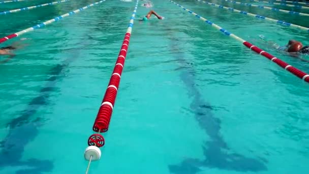 Εκπαίδευση Πισίνας Αθλητές Εξασκούνται Στην Τεχνική Κολύμβησης Αργή Κίνηση — Αρχείο Βίντεο