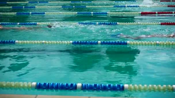Zwembad Training Atleten Oefenen Zwemtechniek Langzame Beweging — Stockvideo