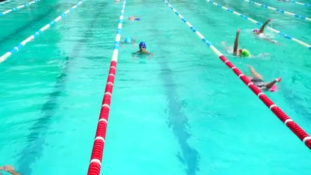 Yüzme Havuzu Eğitimi Sporcular Yüzme Tekniği Çalışırlar — Stok video