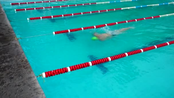 Тренування Басейну Спортсмени Практикують Техніку Плавання — стокове відео