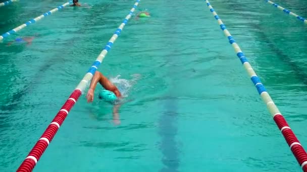 Entrenamiento Piscina Los Atletas Practican Técnica Natación Movimiento Lento — Vídeos de Stock