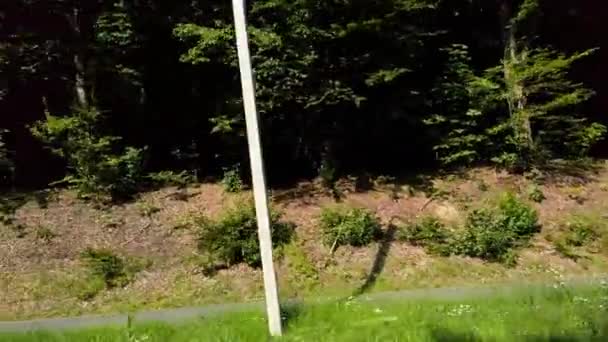 Disparando Bosque Desde Ventana Del Coche — Vídeo de stock