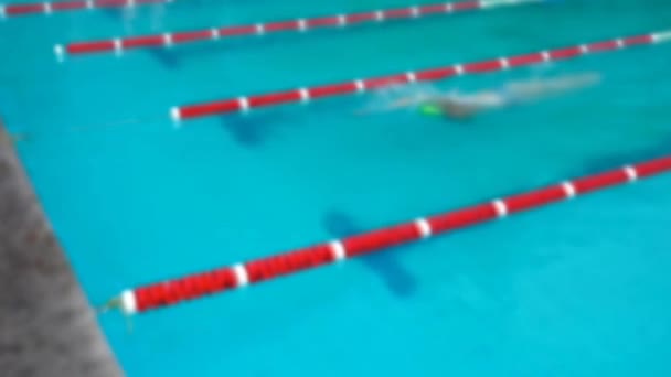 Trénink Bazénu Sportovci Cvičí Plavání — Stock video