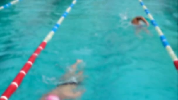 Entrenamiento Piscina Los Atletas Practican Técnica Natación — Vídeos de Stock