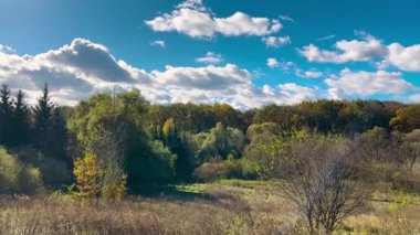 Sonbahar çayır manzarası, genç ağaçlar ve çalılar, ve beyaz bulutlu parlak mavi bir gökyüzü..