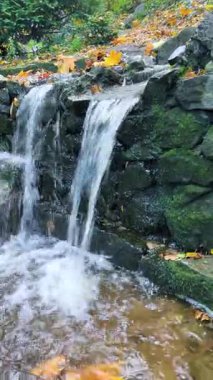 Resimli bir dekoratif akarsu, küçük şelaleler ve bir sonbahar parkında granit taşların üzerine düşen sarı yapraklar. Dikey video.