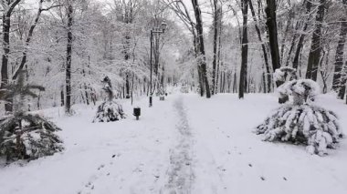 A peaceful winter scene in a snow-covered park. Bare trees and small pine trees are heavily laden with fresh white snow. A vintage lamppost against a backdrop of trees.