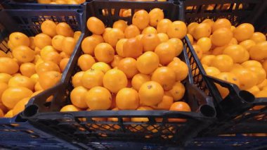 Süpermarkette siyah plastik sandıklara doldurulmuş taze portakallar. Çok sayıda olgun, sarı-turuncu turunçgil meyvesinin satışa hazır görüntüsü..