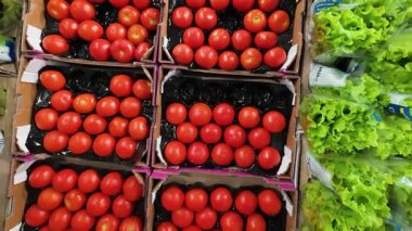 Pazarda sergilenen taze vişneli domates ve marul. Canlı kırmızı domatesler ve yeşil yapraklı sebzeler..