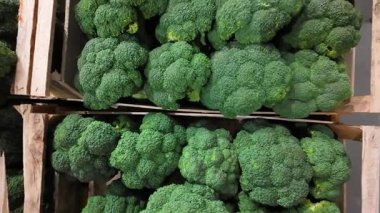 Taze yeşil brokoli kafaları, süpermarket ortamında satılmaya hazır ahşap sandıklarda güzelce düzenlenir. Bu yakın çekim sağlıklı sebzelerin dokusunu ve canlı rengini vurgular..