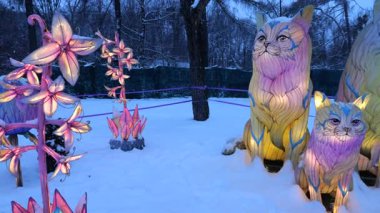 LVIV, UKRAINE - OCAK 06, 2026: Karlı bir parkta aydınlatılmış kedi heykelleri ve çiçekler.