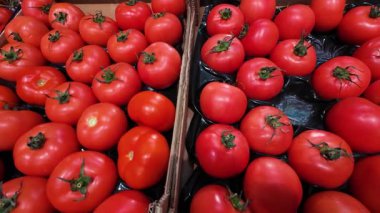 Süpermarket üretim bölümünde sergilenen taze, kırmızı domatesler. Karton kutulardaki olgun sebzelerin yakın plan çekimi, satın alınmaya hazır..
