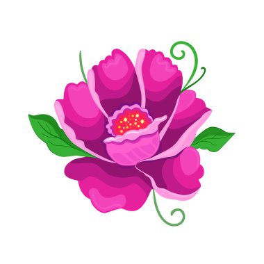 Vektör illüstrasyon yeşil yapraklı düz anemon çiçeği. Muhteşem saf çiçek..