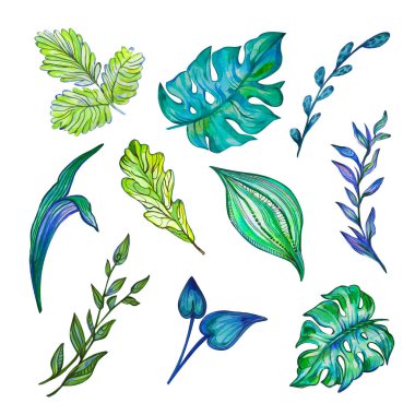 Dekoratif yapraklı yaz ve bahar bitkileri kolajı akrilik renkler çeker. Canavar stilize edilmiş yaprak. Yaprak hazır..