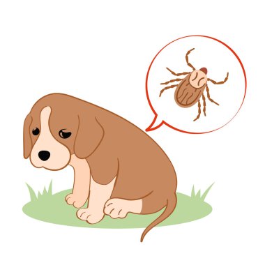 Vektör illüstrasyon köpek yavrusu kene ısırığından kendini kötü hissediyor. Kene sezonu, köpek bakımı