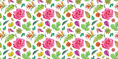 Muhteşem desensiz çiçekler, muhteşem çiçekler ve beyaz izole arkaplanda Strelitzia.