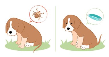 Vektör illüstrasyon köpek yavrusu kene ısırığından kendini kötü hissediyor. Kene sezonu, köpek bakımı. Özel koruma tasmasından sonra köpek kendini iyi hissediyor.