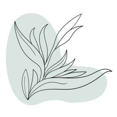 Vektör çizgisi siyah illüstrasyon grafikleri çiçekler renk lekeli strelitzia.