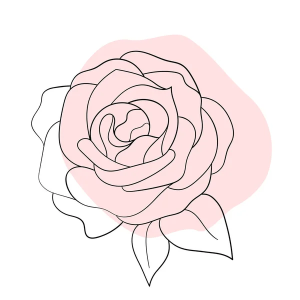 Ligne vectorielle noir illustration graphiques fleur rose avec des taches de couleurs. — Image vectorielle