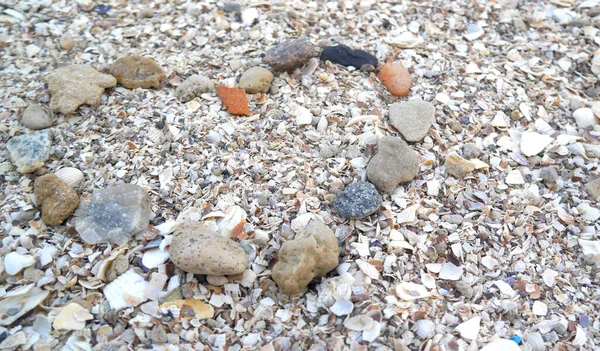 Pequenas Conchas Mar Forma Coração Praia Areia Conceito Feriados — Fotografia de Stock