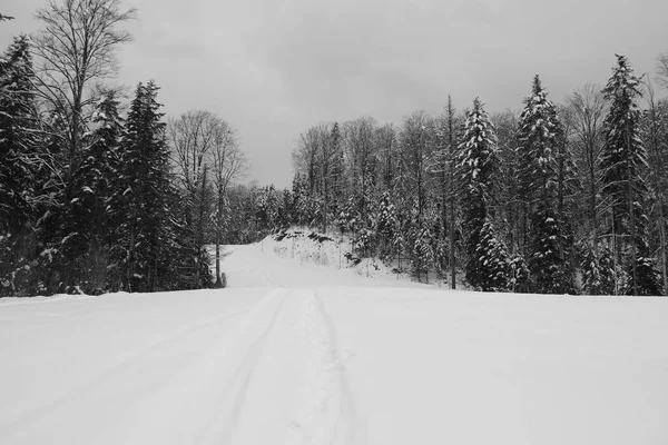 Schöner Sonniger Morgen Über Einer Leeren Skipiste Slanic Moldawien Rumänien — Stockfoto