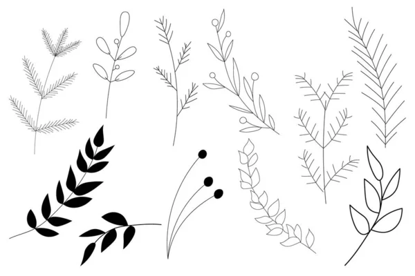 Vector Plantas Dibujadas Mano Hojas Ramas Blanco Negro Colección Ilustración — Archivo Imágenes Vectoriales