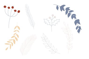   Yapraklar ve dallar. Vektör el çizimi bitkiler. Botanik illüstrasyon koleksiyonu. Yelken için şablon tasarımı, düğün tarihi, zarf, sevgililer günü, parti için, tatil dekorasyonu.